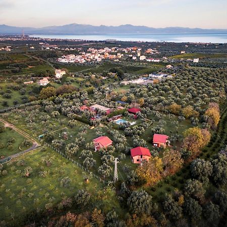 La Piana Degli Ulivi Bed and Breakfast Rossano Exteriör bild