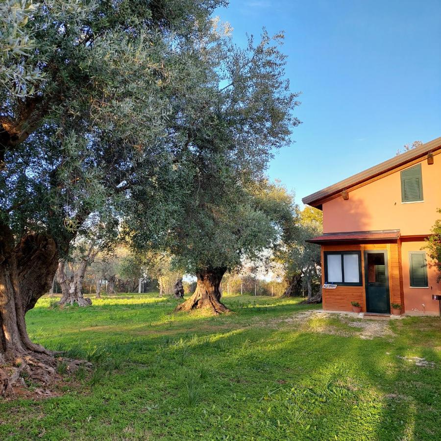 La Piana Degli Ulivi Bed and Breakfast Rossano Exteriör bild