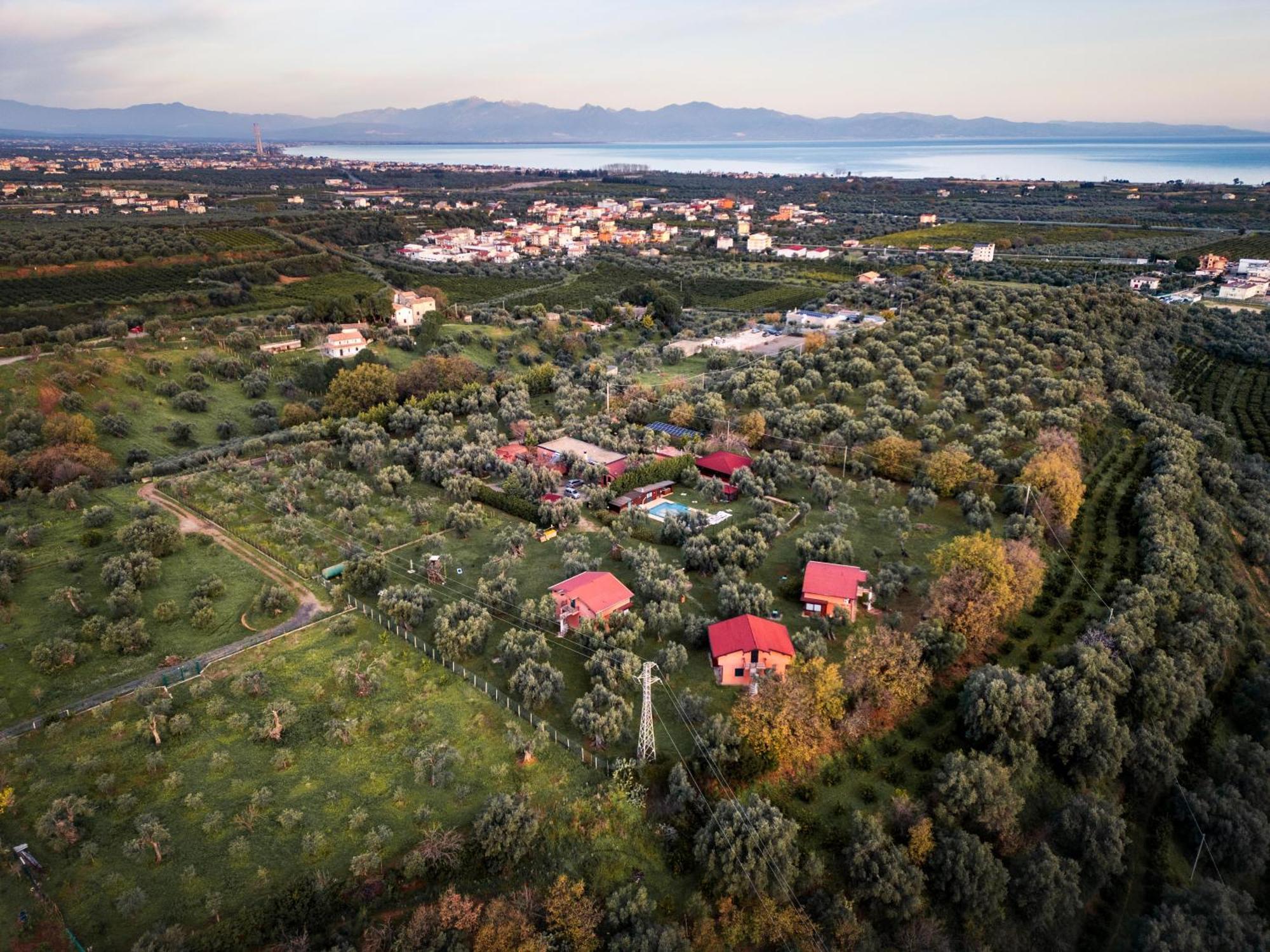 La Piana Degli Ulivi Bed and Breakfast Rossano Exteriör bild