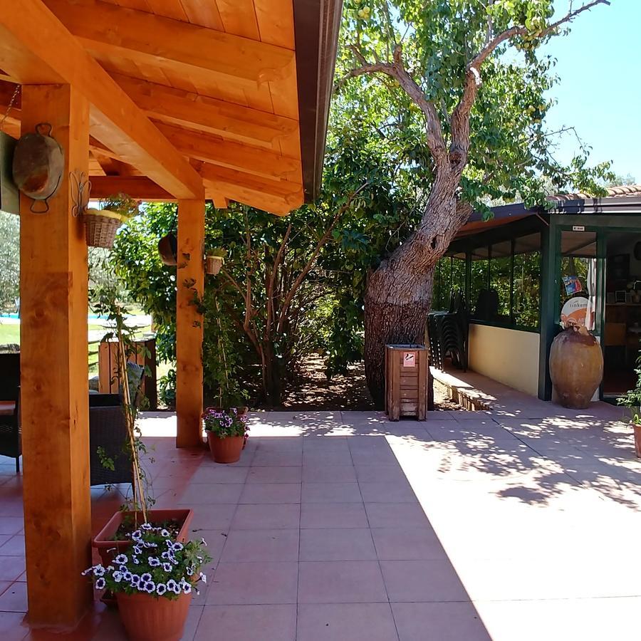 La Piana Degli Ulivi Bed and Breakfast Rossano Exteriör bild