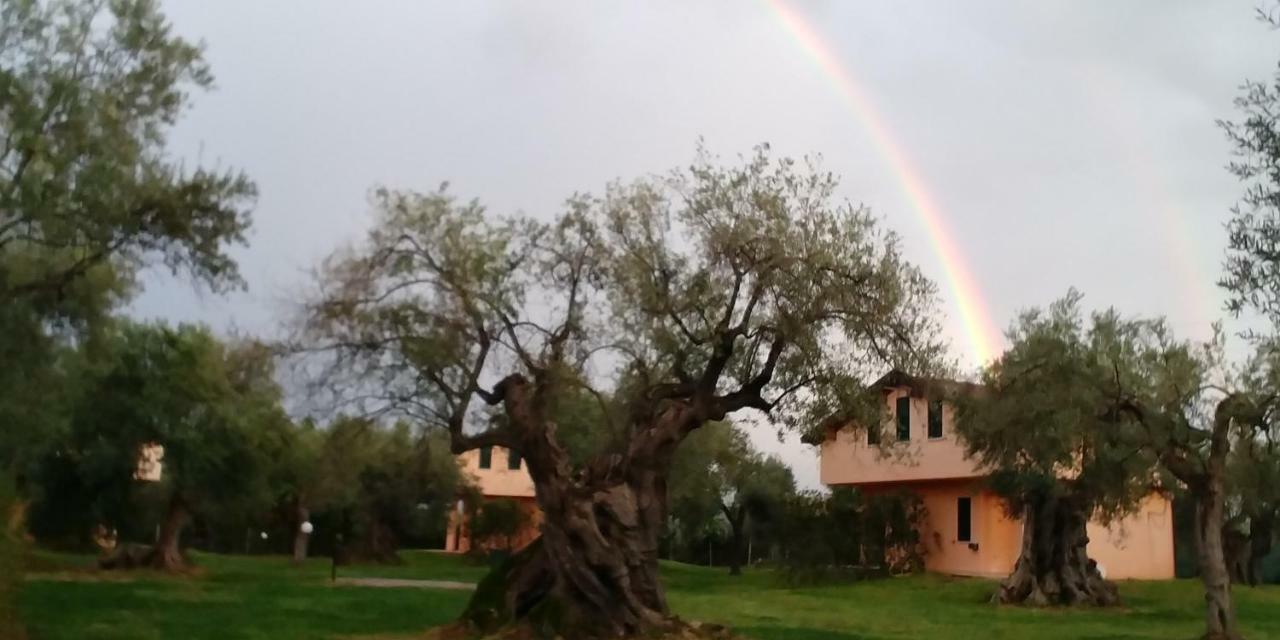 La Piana Degli Ulivi Bed and Breakfast Rossano Exteriör bild